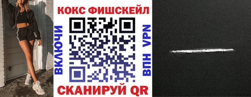 COCAIN Fish Scale  Купить закладки  Лукоянов 