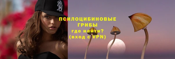 кокс Ельня