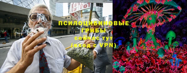кокс Ельня