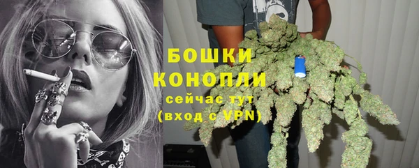 прущий лед Гусев