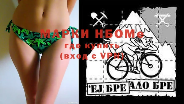 ешки Гусь-Хрустальный