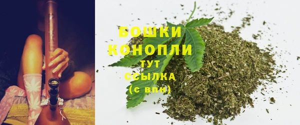 ешки Гусь-Хрустальный