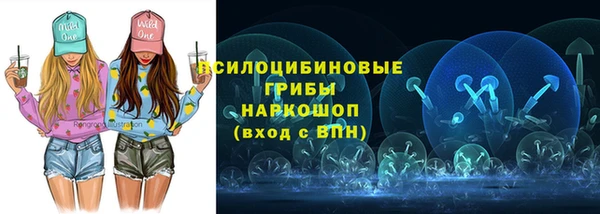 ешки Гусь-Хрустальный