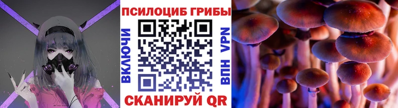 Галлюциногенные грибы мицелий  Купить  Лукоянов 